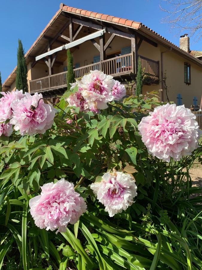 Lauberge De Nogaro Caupenne-d'Armagnac Екстер'єр фото