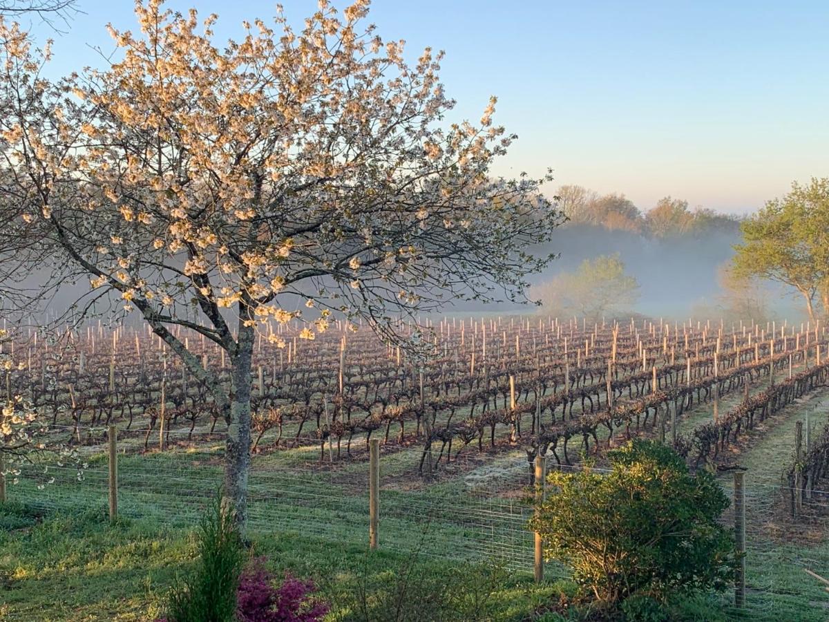 Lauberge De Nogaro Caupenne-d'Armagnac Екстер'єр фото